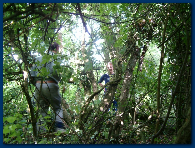 600x449 pixels (213K)